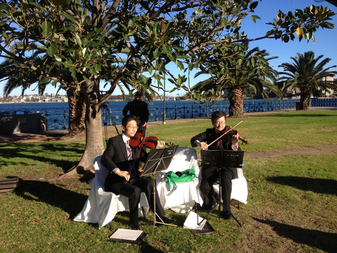 Musicians at the wedding